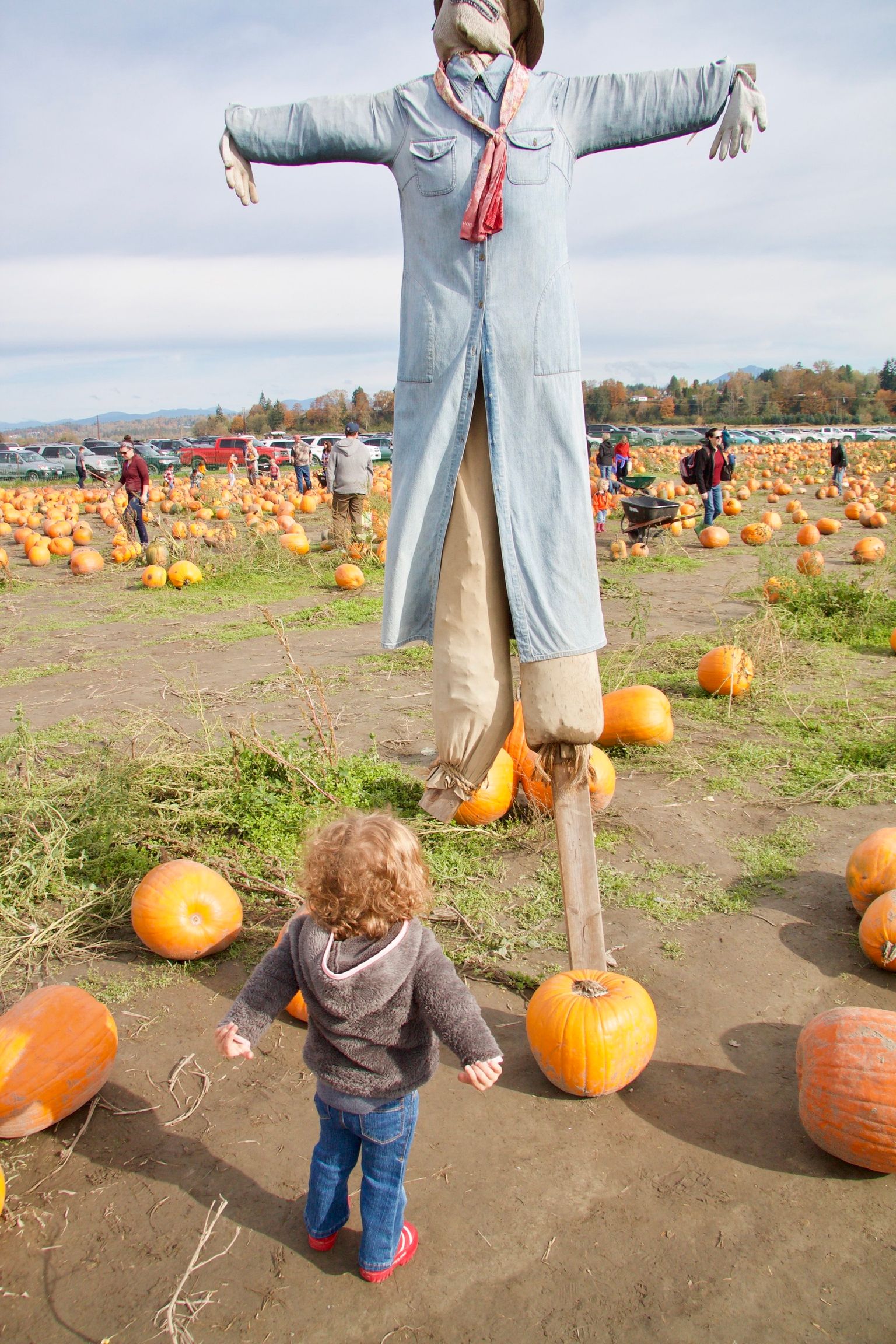 I'm scaring the scarecrows!