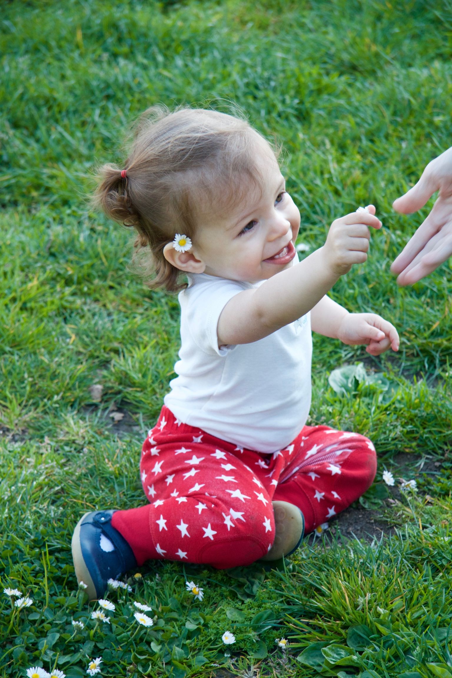 I'm picking flowers!