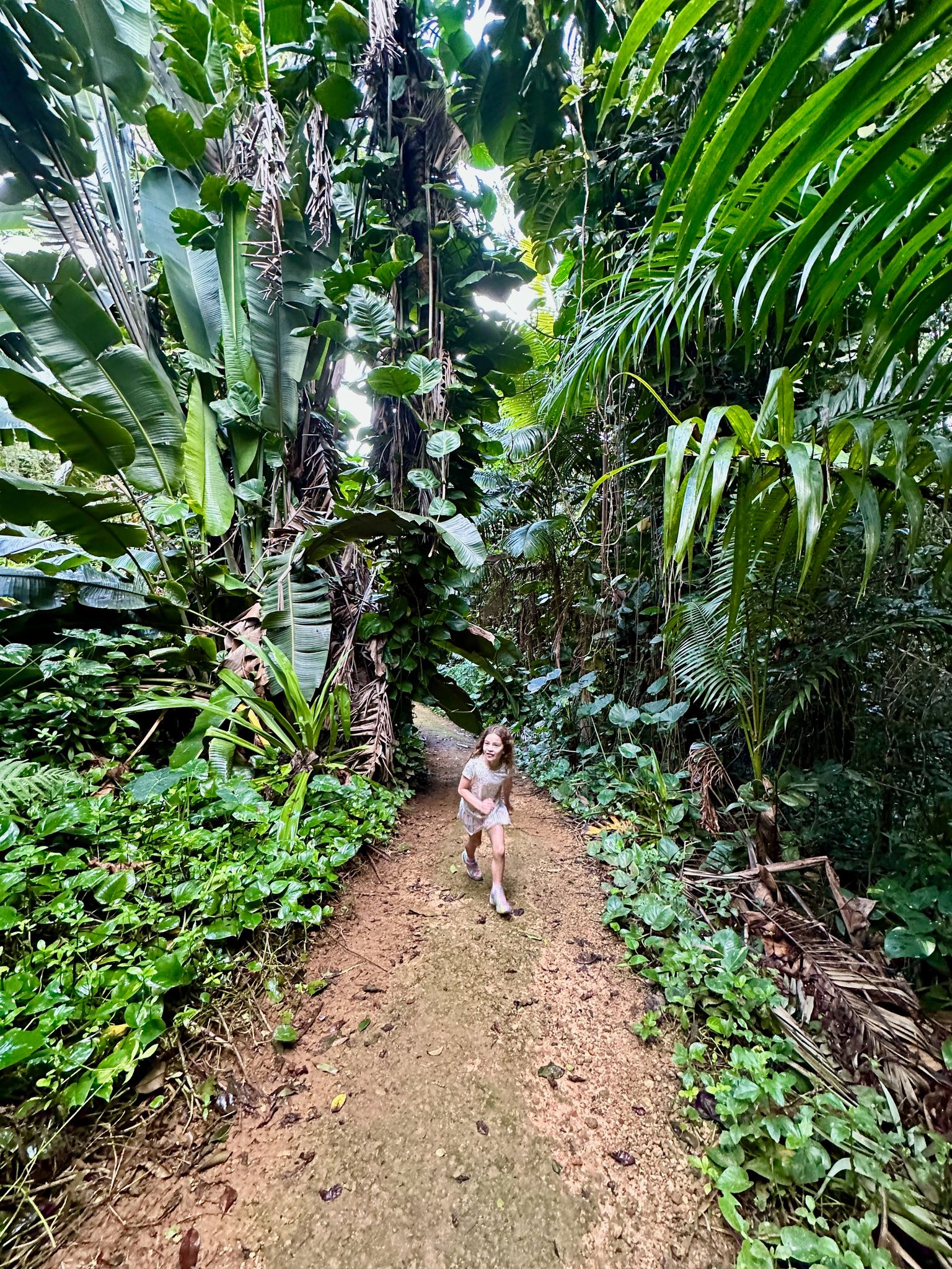 I'm jogging through jungle!