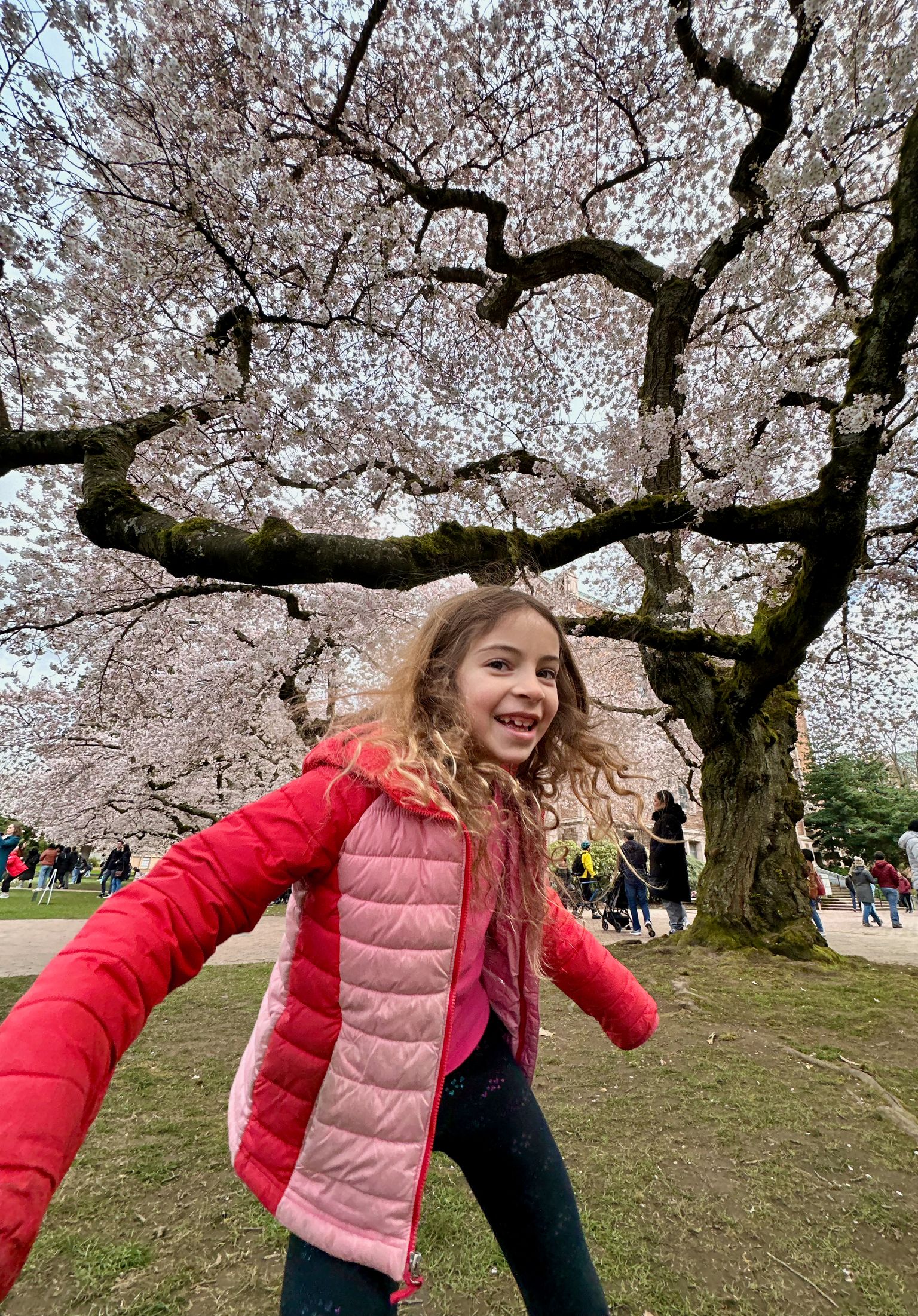 I'm bounding near blossoms!