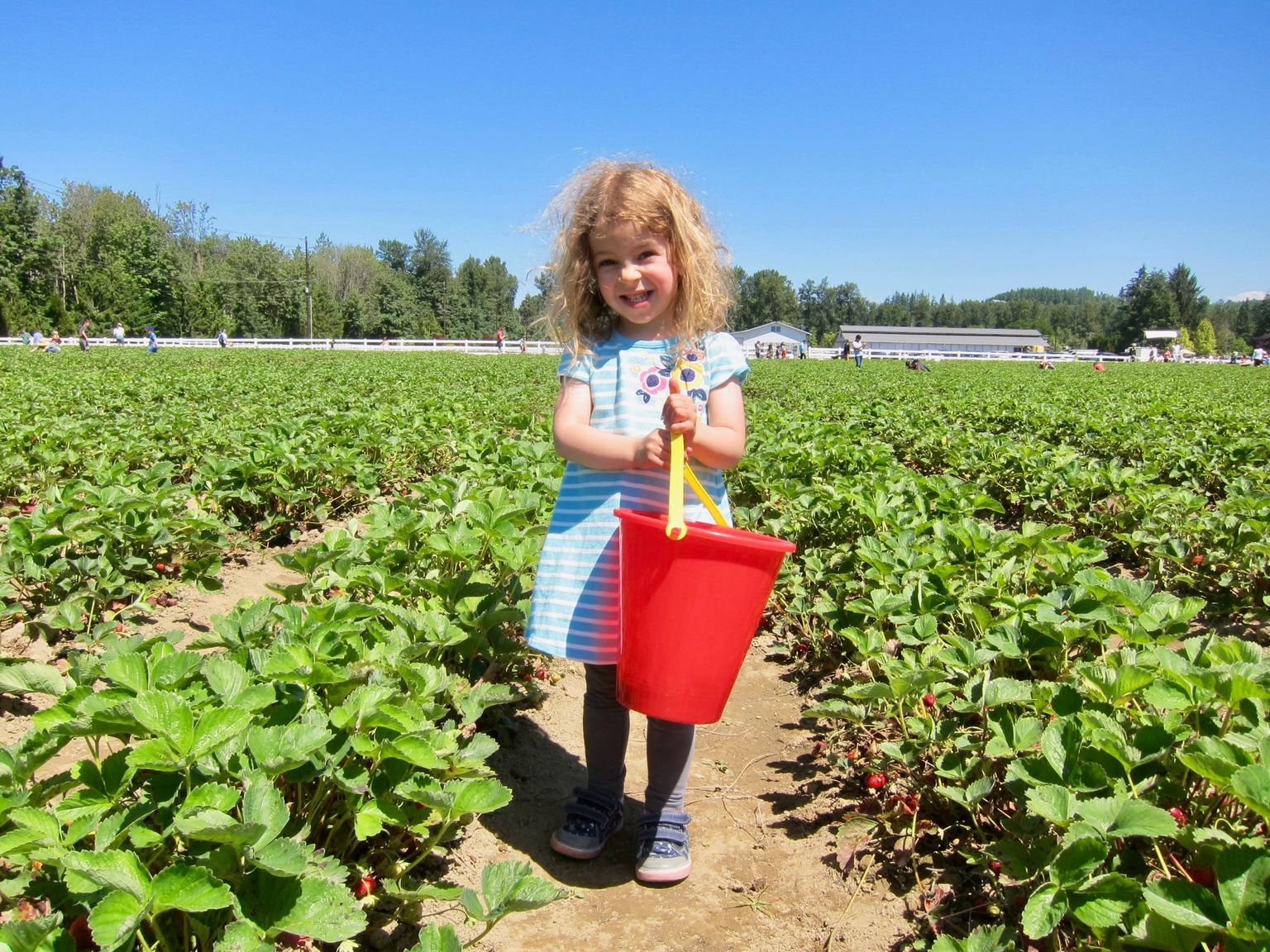 I'm picking berries!