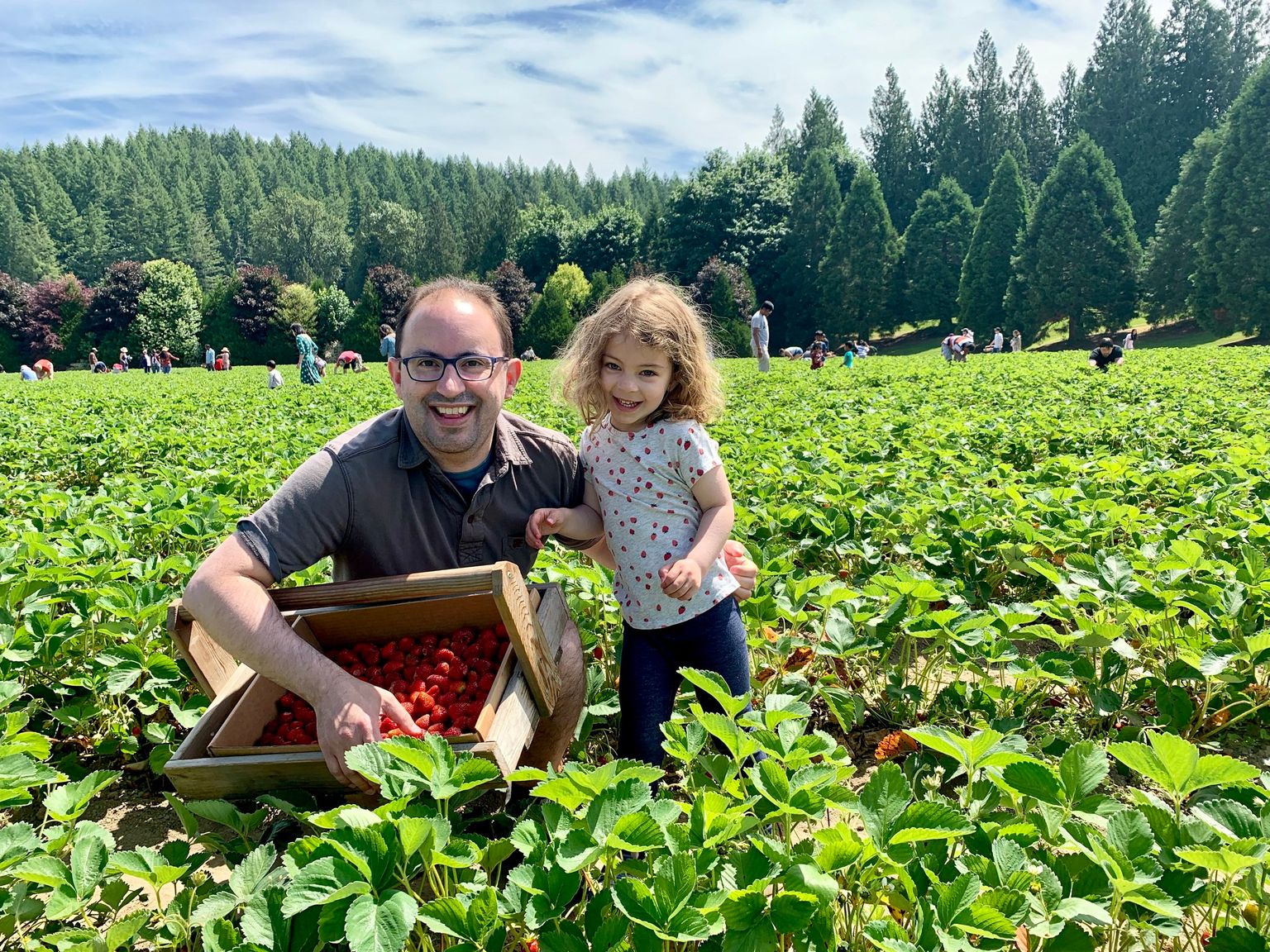 I'm pickin' strawbs!