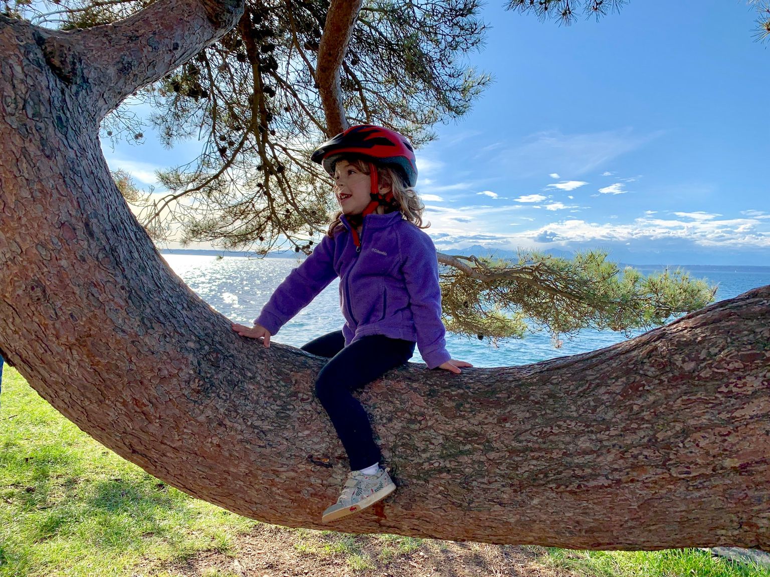 I'm perching on trees!