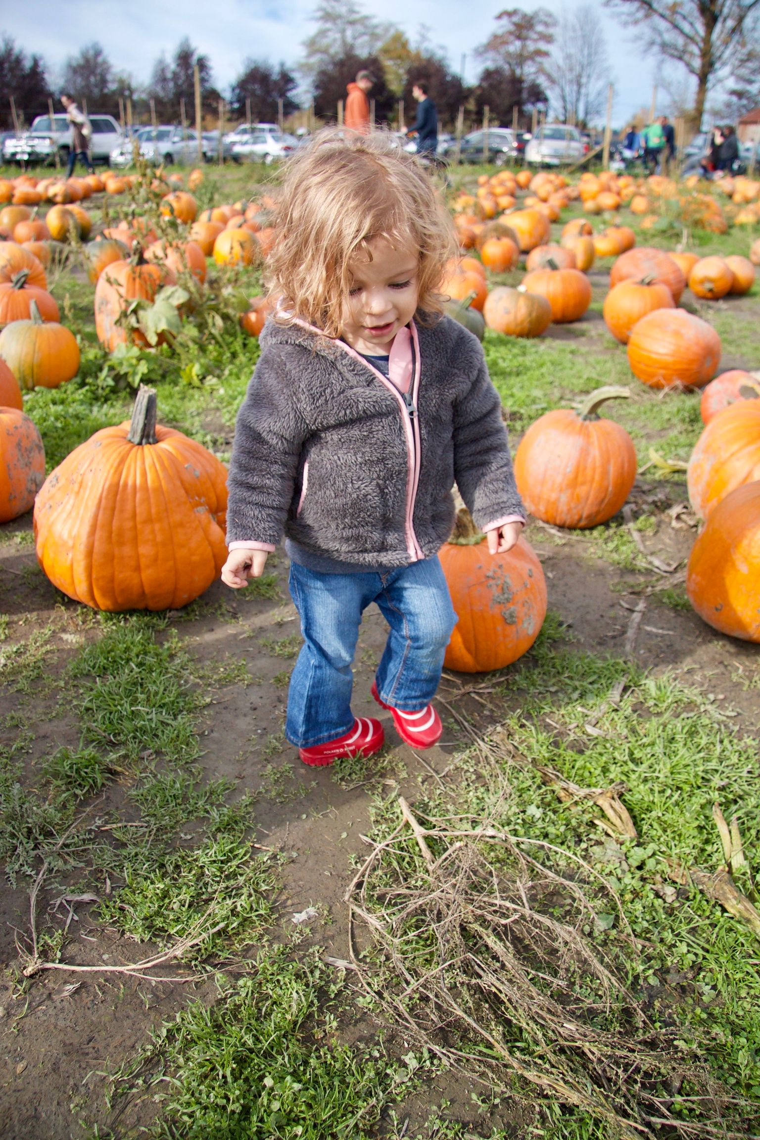 I'm pumpkin patching!