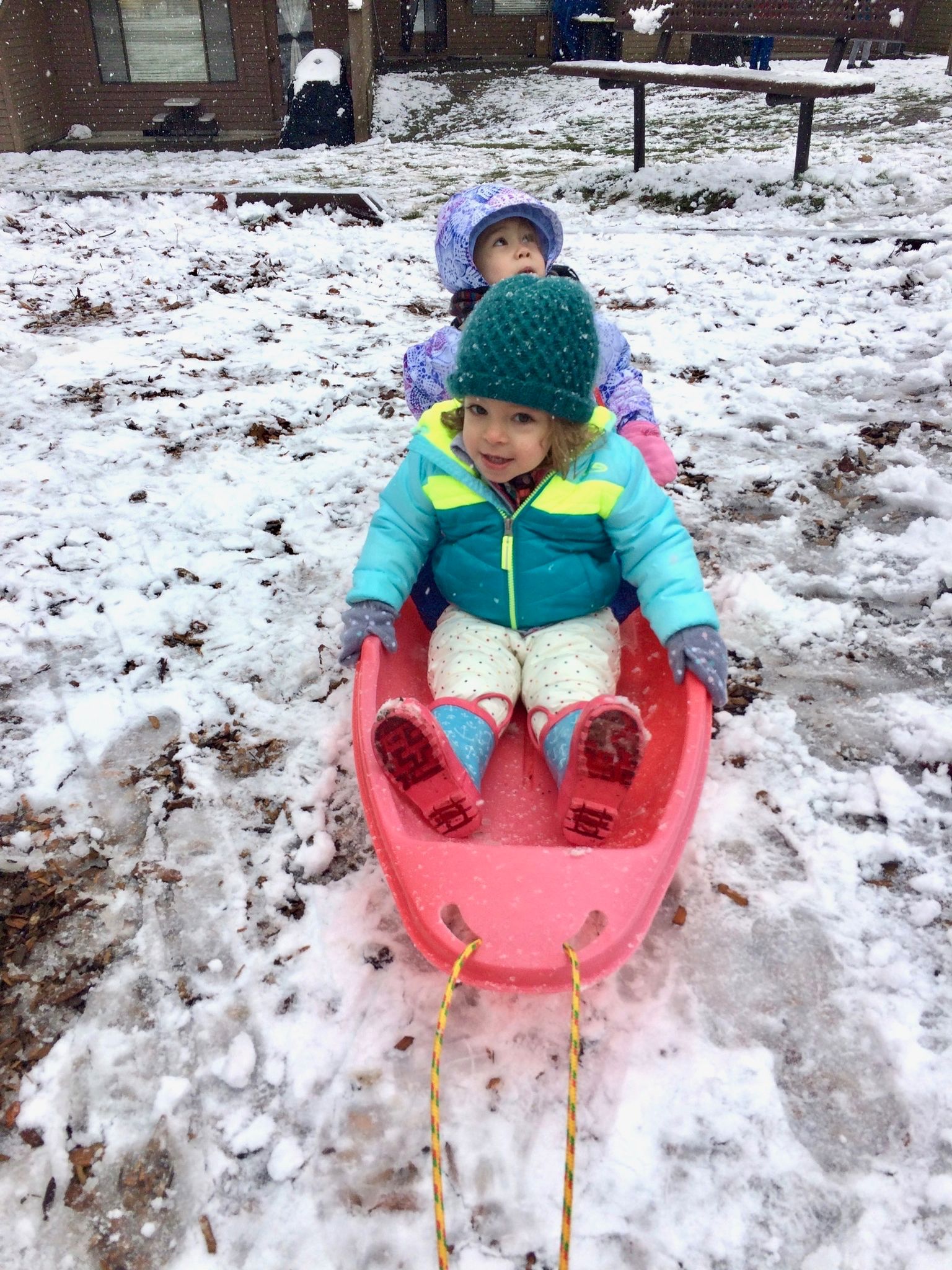 I'm sledding in Seattle!