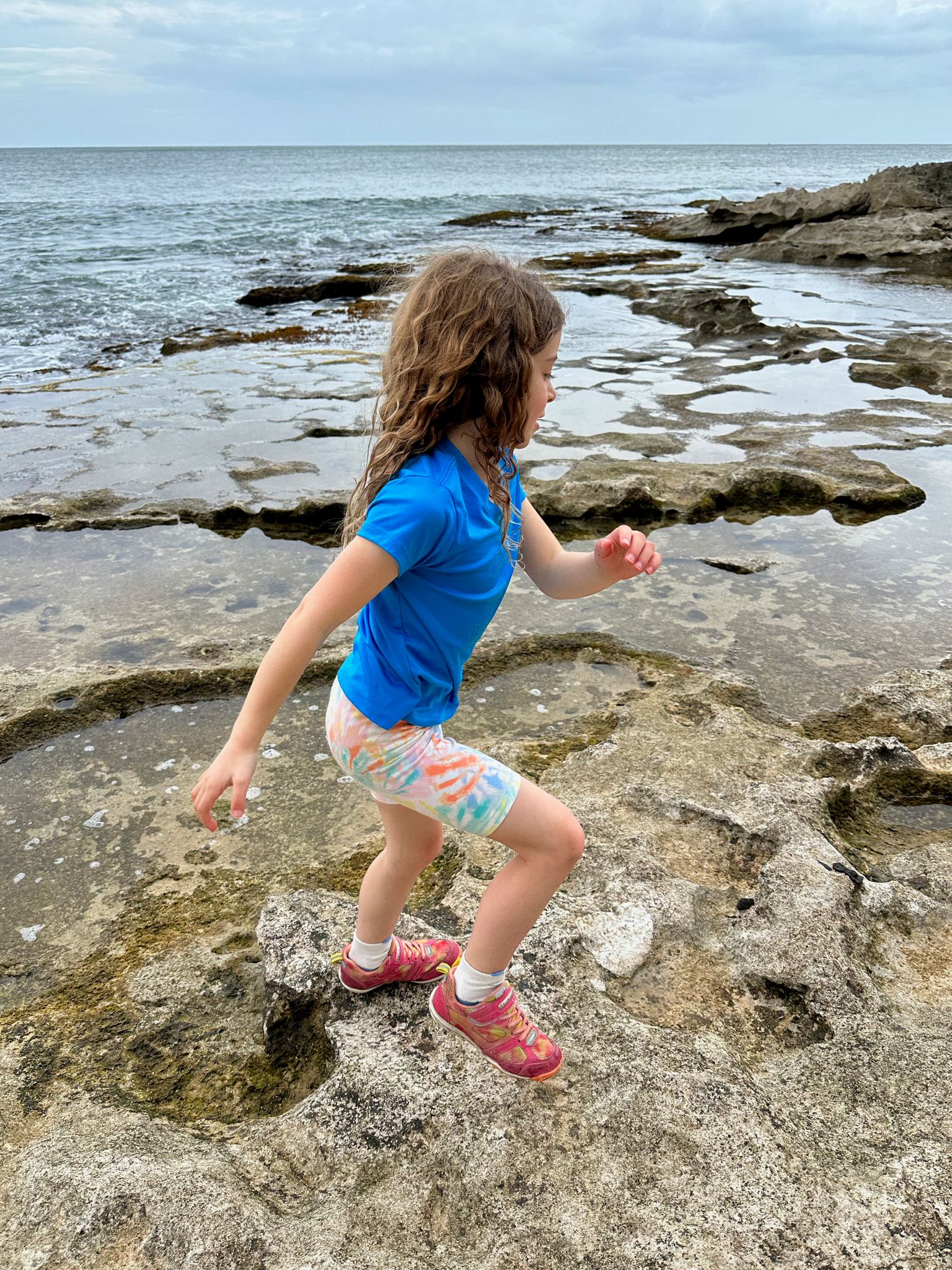 I'm traversing tidepools!