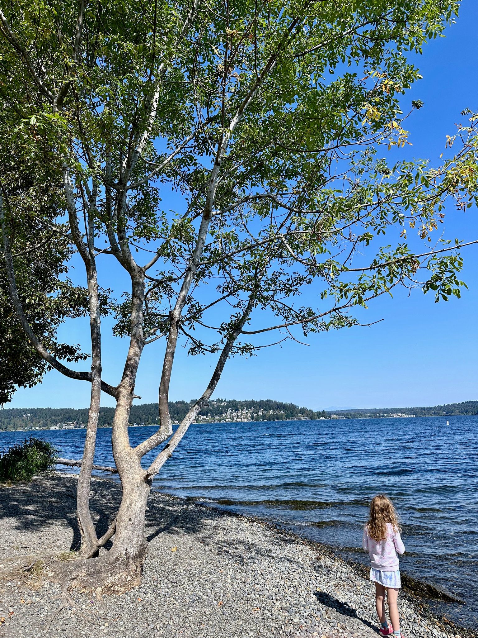 I'm taking it easy by the tree!