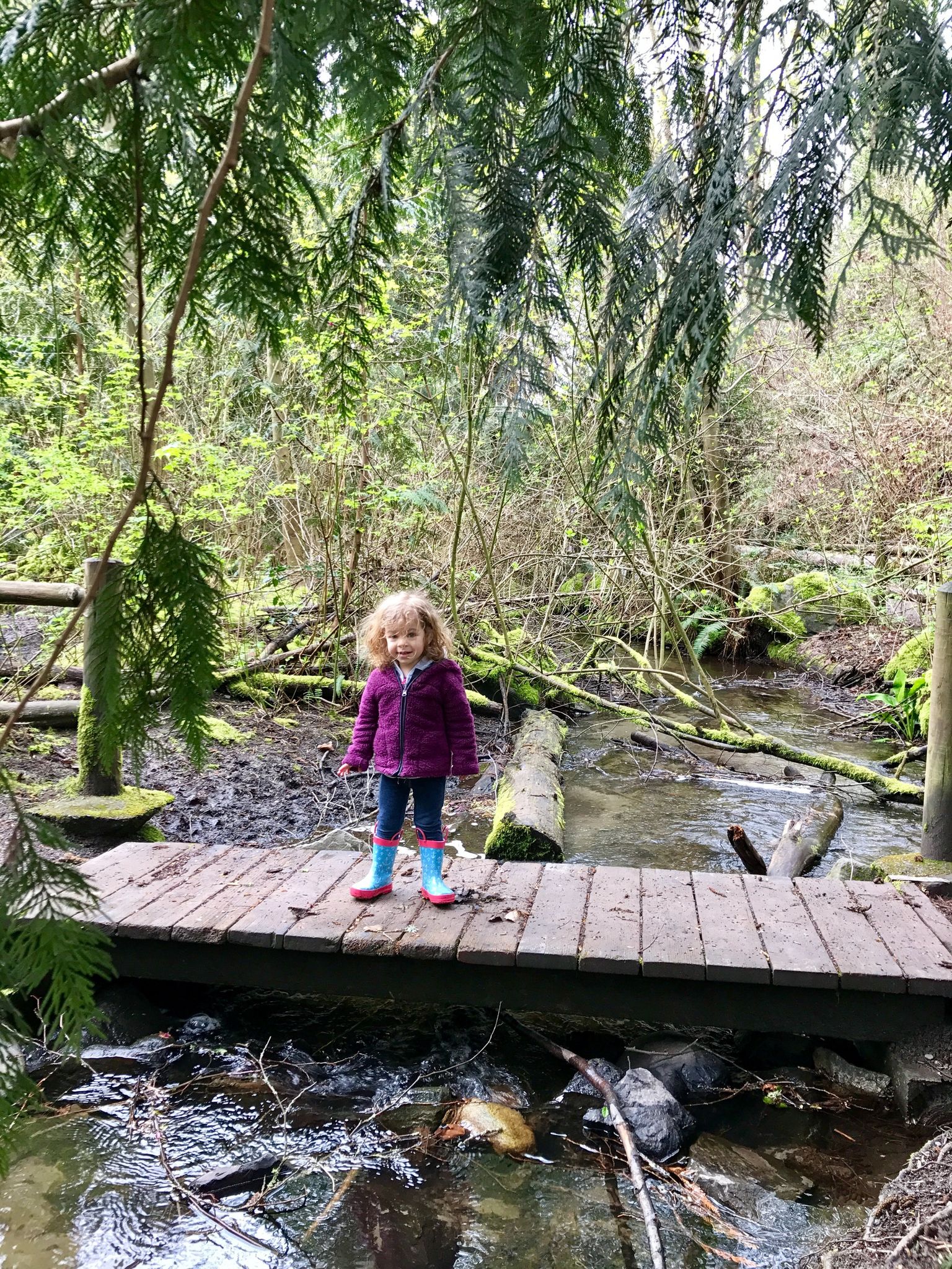 I'm playing in the creek!