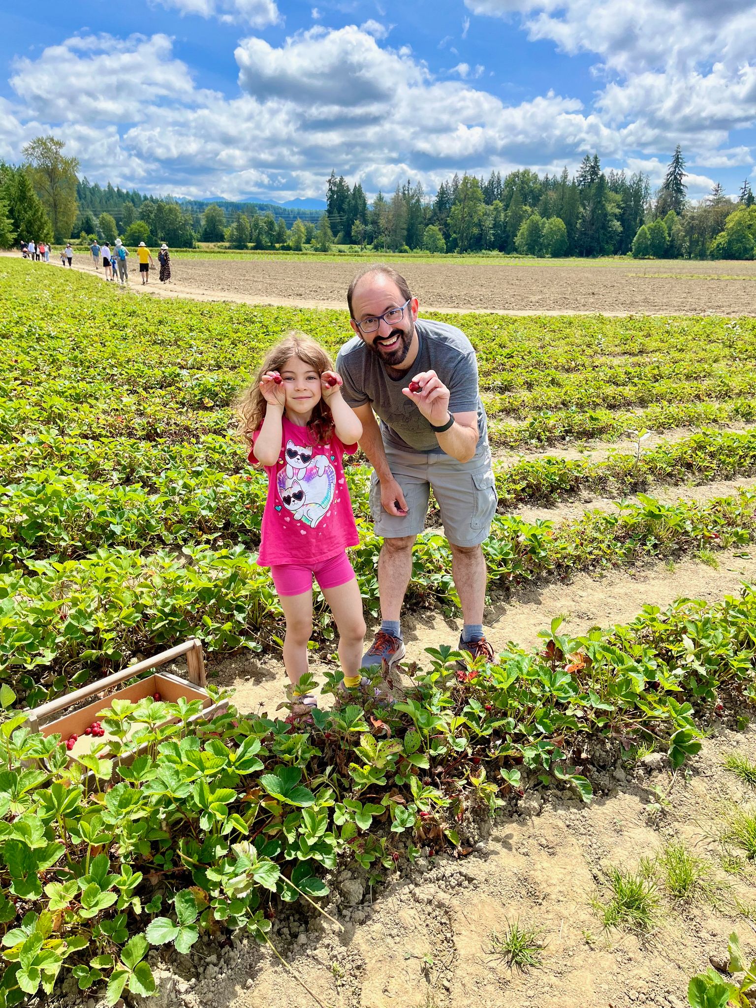 I'm searching for strawbs!