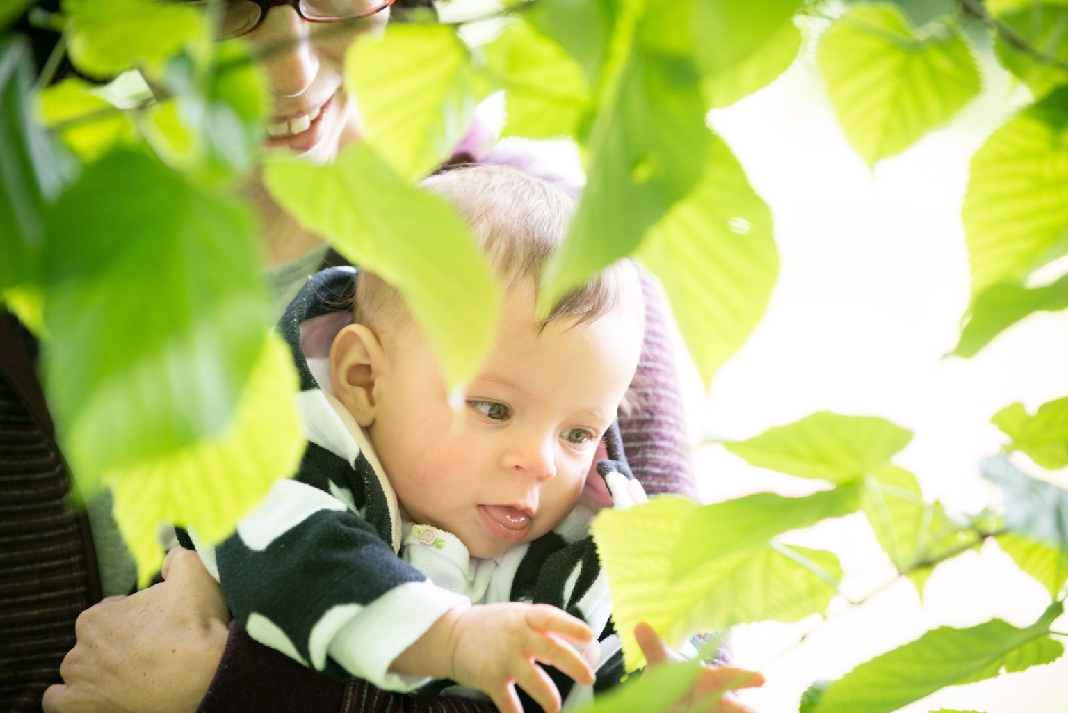 I like leaves!