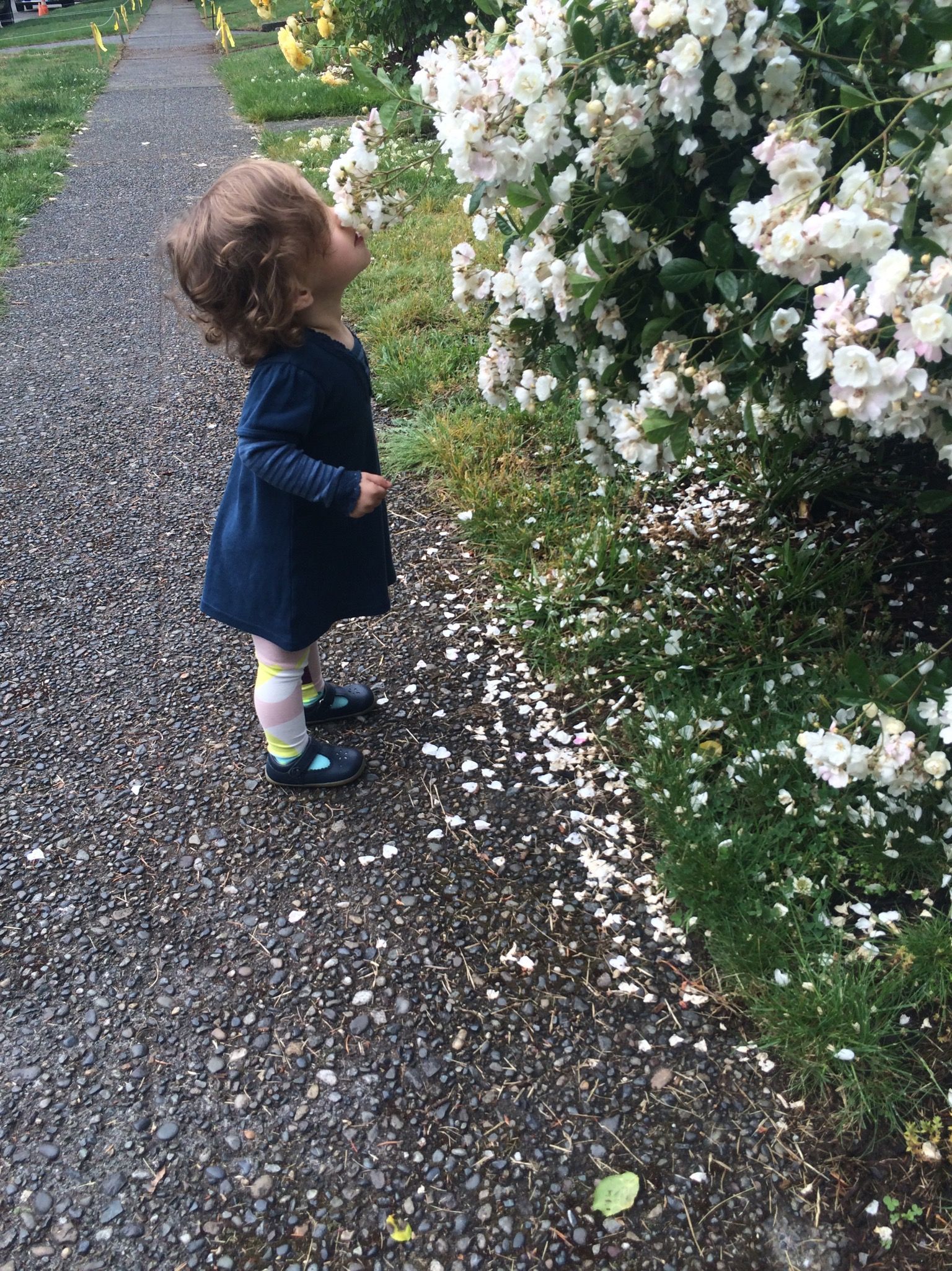 I'm stopping to smell the flowers!